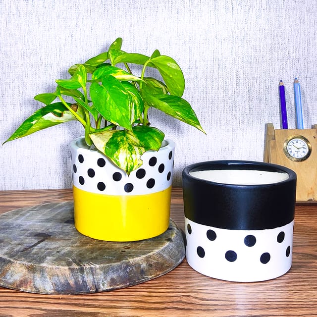 Ceramic Cylindrical Planter Pots | Lemon Yellow & Black Dotted Design | Stylish Ceramic Planters for Indoor Plants, Office & Home Décor (Pack of 2)