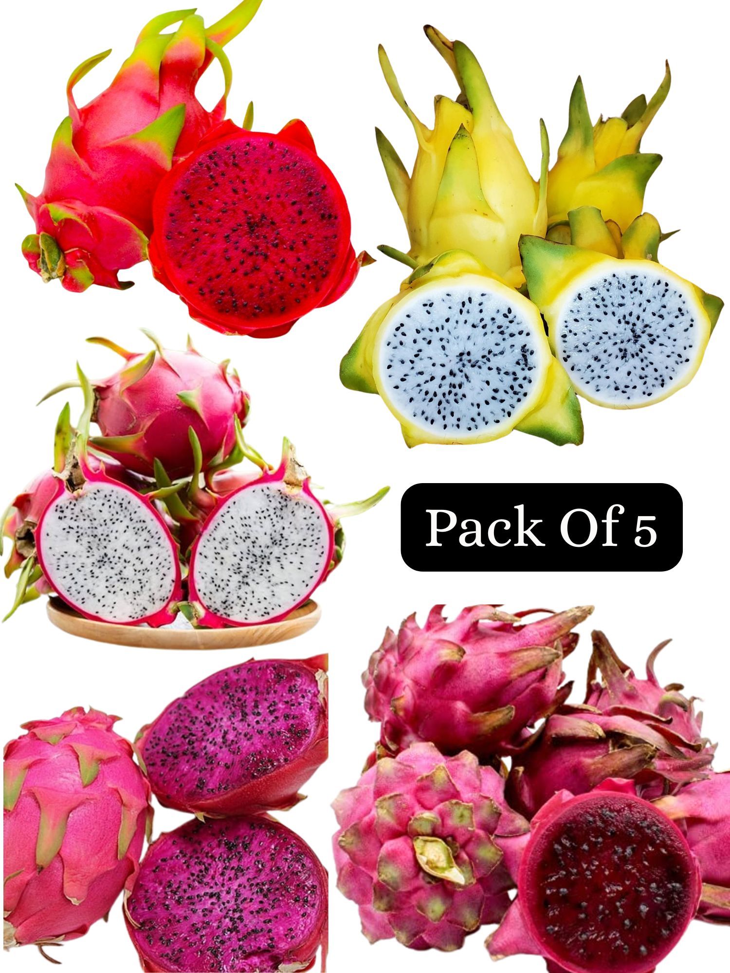 Dragon Fruit Plant Combo Pack Of 5 - Jumbo Red, C Variety, Israel Yellow, Moroccan Red & Regular Red