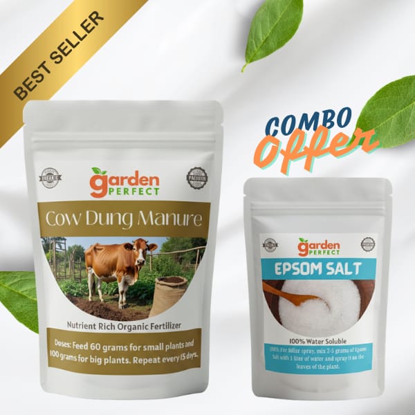 Cow Dung Manure and Epsom Salt Combo for Home Gardening and Plants