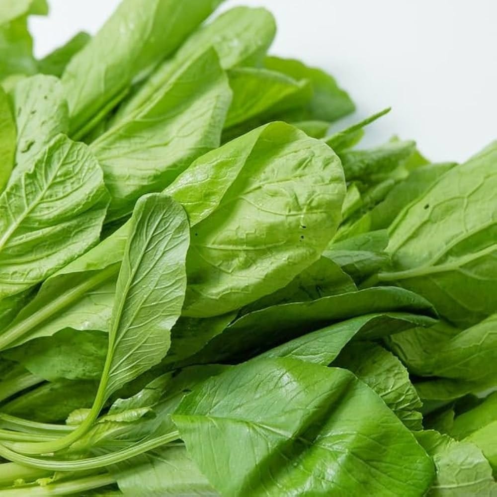 PALAK SEEDS ( SPINACH) PACK OF 200 GRAMS