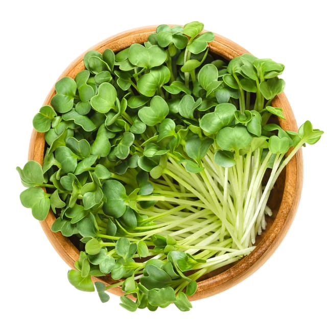 TURNIP MICROGREEN SEEDS (PACK  25 GRAMS)