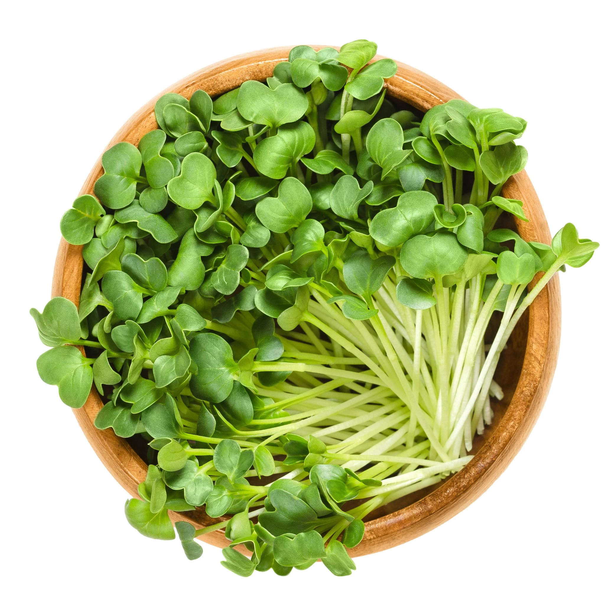 TURNIP MICROGREEN SEEDS (PACK  25 GRAMS)