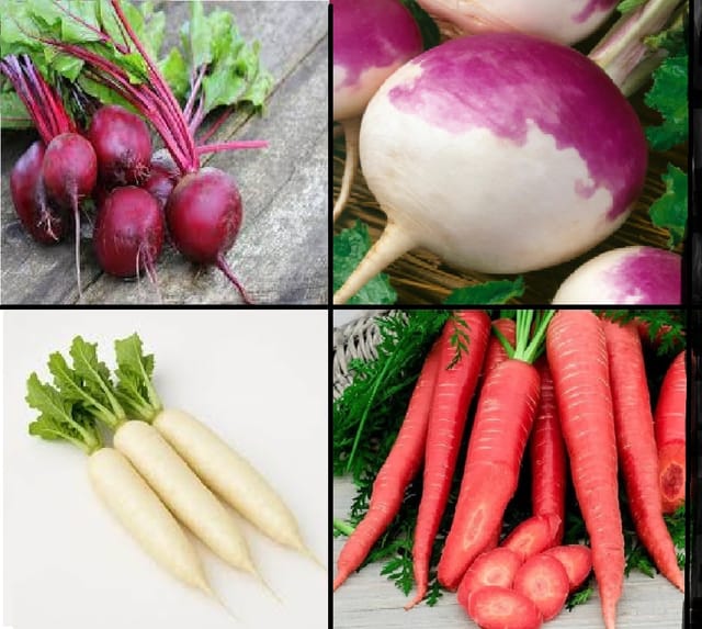 4 Varieties Of Underground Vegetable Seeds Combo Pack