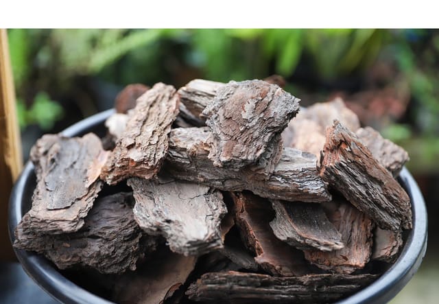 Pine Bark  450g  | Ideal for Plants, Orchids, Bonsai & Terrarium
