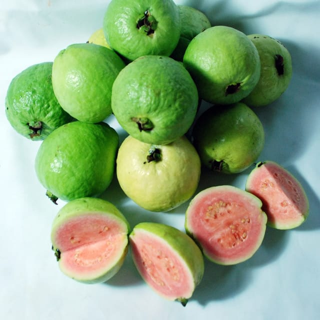 Taiwan Pink Guava Plant