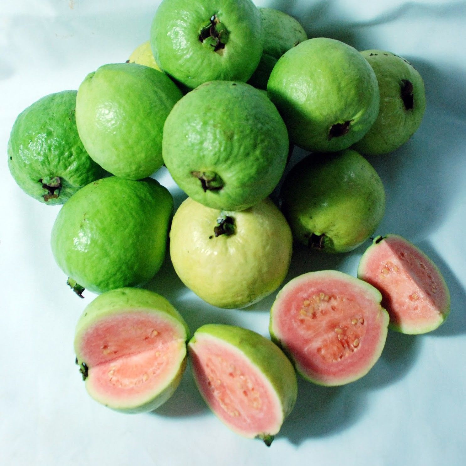 Taiwan Pink Guava Plant