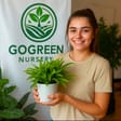 GOGREEN NURSERY 