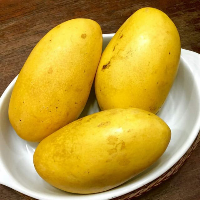 Carabao Mango Plant