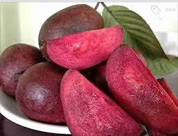 Red Guava Sweet Plant-(Grafted)