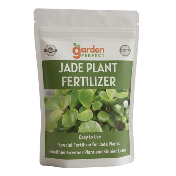 Organic Jade Plant Plant Food, Heathier Greener and Shinier Leaves | Jade Good Luck Feng Shui Plant Booster