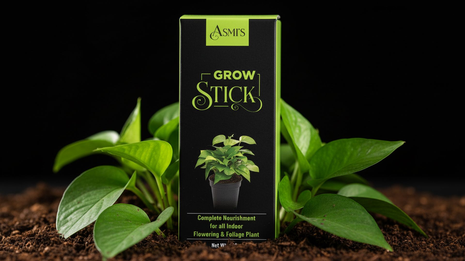 Asmi's Grow Stick | Complete Nourishment For All Indoor Flowering & Foliage Plant