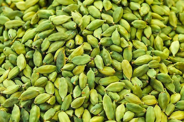 Elaichi/ Cardamom Plant (Hybrid, Pack Of 1)