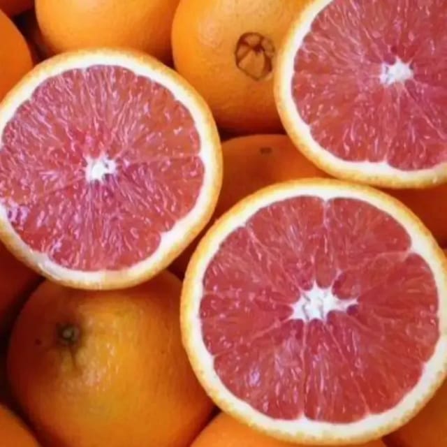 Cara Cara Navel Orange Plant For Outdoor Gardening