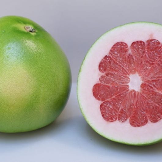 Red Pomelo (Grafted) Plant For Outdoor Gardening