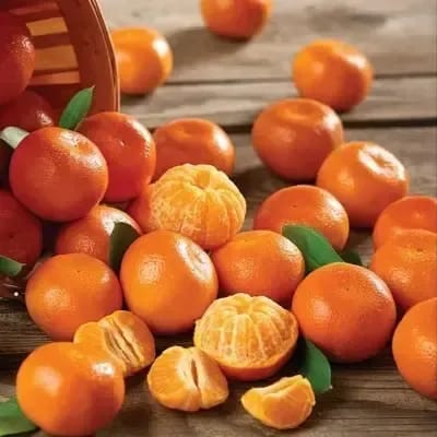 Mandarin Orange Plant For Outdoor Gardening