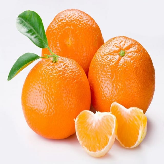 Darjeeling Sweet Orange Plant For Outdoor Gardening