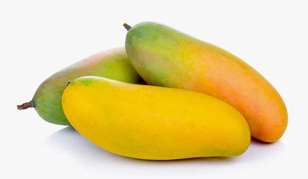 YELLOW BANANA MANGO Fruit plants - Naturemart
