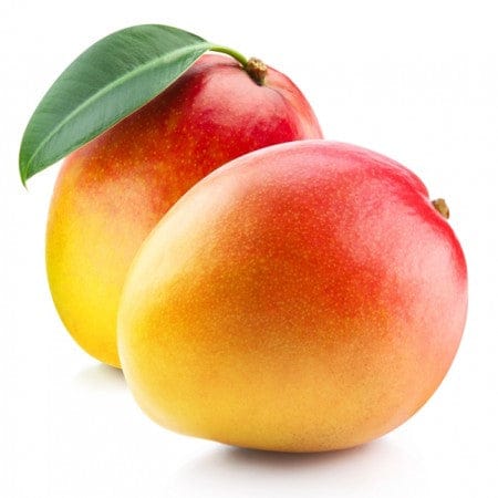 SINDUR KOUTA MANGO Fruit plants - Naturemart