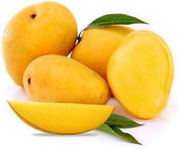 KISHANBHOG MANGO Fruit plants (grafting) - Naturemart