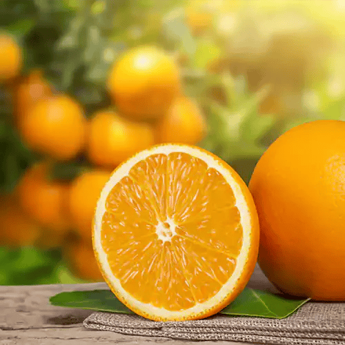 SWEET CHINESE ORANGE FRUIT PLANTS - Naturemart