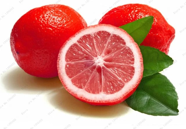 Red Malta Fruit Plants - Naturemart