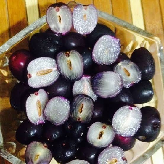Seddless Jamun Fruit Plants - Naturemart