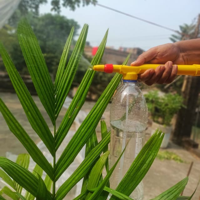 Garden Pump Pressure Sprayer | Bottle For Garden Water Spray | Lawn Sprinkler | Water Mister Spray Garden Pump Pressure Sprayer | Bottle For Garden Water Spray | Lawn Sprinkler | Water Mister Spray