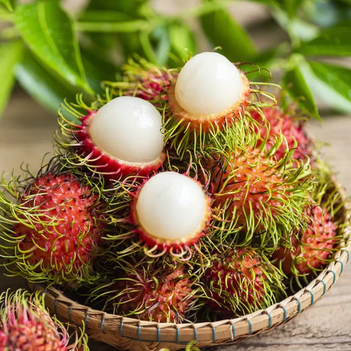 Rambutan Fruit Plants For Home & Gardening - Agro Nursery