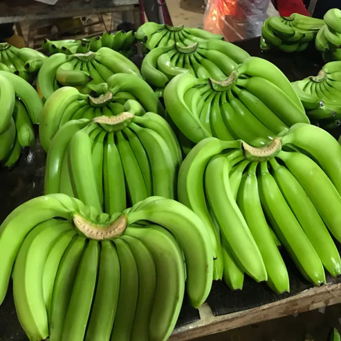 G9 Banana Fruit Plants For Home & Gardening - Agro Nursery