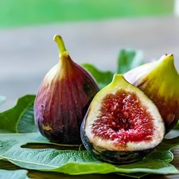 Fresh Fig Puna/Anjeer Fruit Plant (Height 1-2 Feet) Fresh Fig/Anjeer Orignal Hybrid Variety Fruit Plant | Taste: Soft, Sweet, And Juicy Pulp With Tiny Edible (Pack Of -1)Outdoor tree