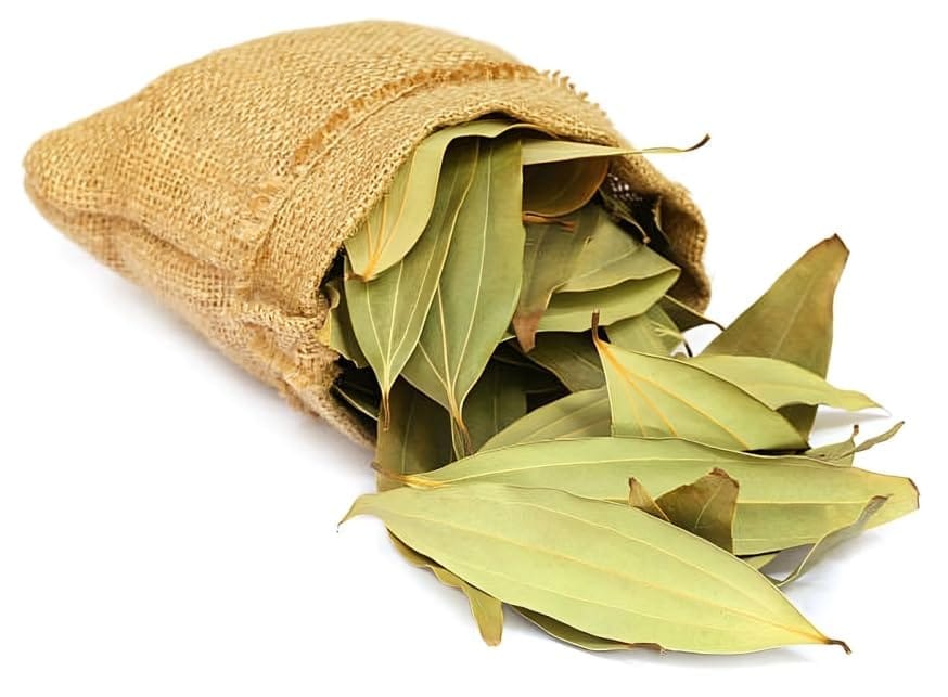 Rere Good Aroma Bay Leaf Tejpatta Spice Plant (Height 1.5-2 Feet) Bay Leaf Orignal Hybrid Plant For Home Graden Outdoor Tree (1 Healthy Bay Leaf Plant)