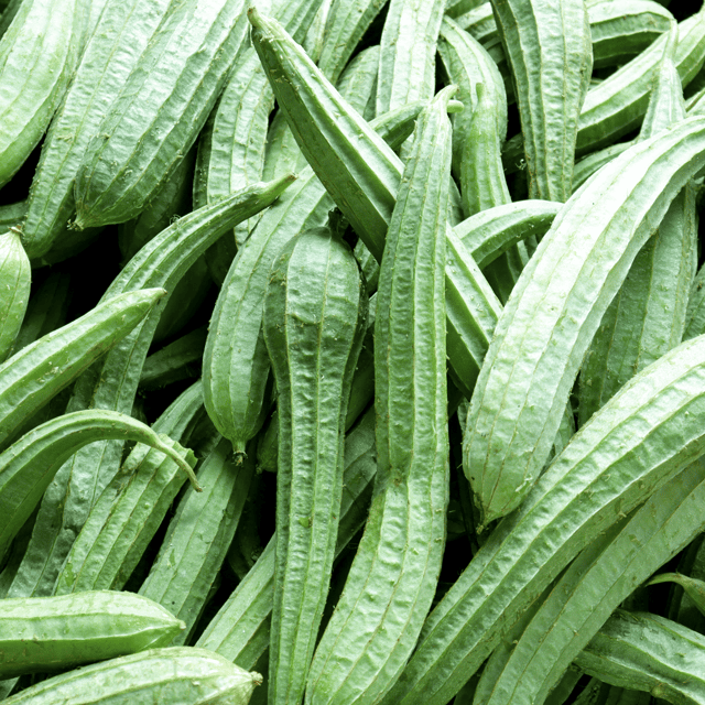 Organic (F3 Hybrid) Torai / Ridge Gourd Seeds(Pack Of - 20 Seeds)
