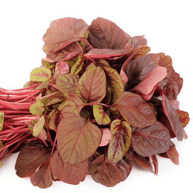 Organic (F3 Hybrid) Red Spinach Seeds(Pack Of - 200 Seeds)