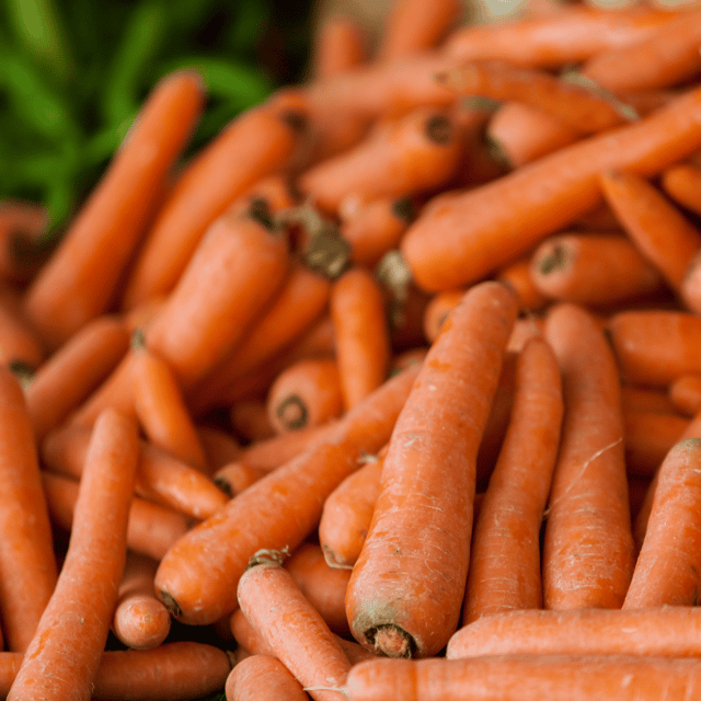 Organic (F2 Hybrid) Orange Carrot Seeds(Pack Of - 50 Seeds) Organic (F2 Hybrid) Orange Carrot Seeds(Pack Of - 50 Seeds)