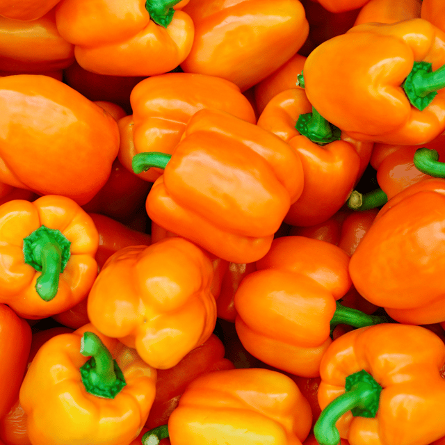 Organic (F2 Hybrid) Capsicum (Orange) Seeds(Pack Of - 20 Seeds) Organic (F2 Hybrid) Capsicum (Orange) Seeds(Pack Of - 20 Seeds)