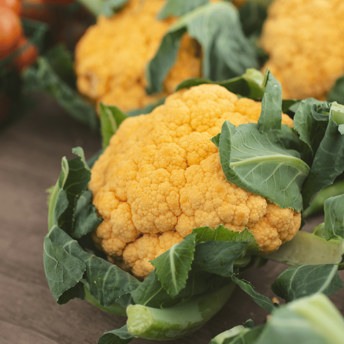 Yellow Cauliflower Seeds - F1 Hybrid (Pack of 10 Seeds)