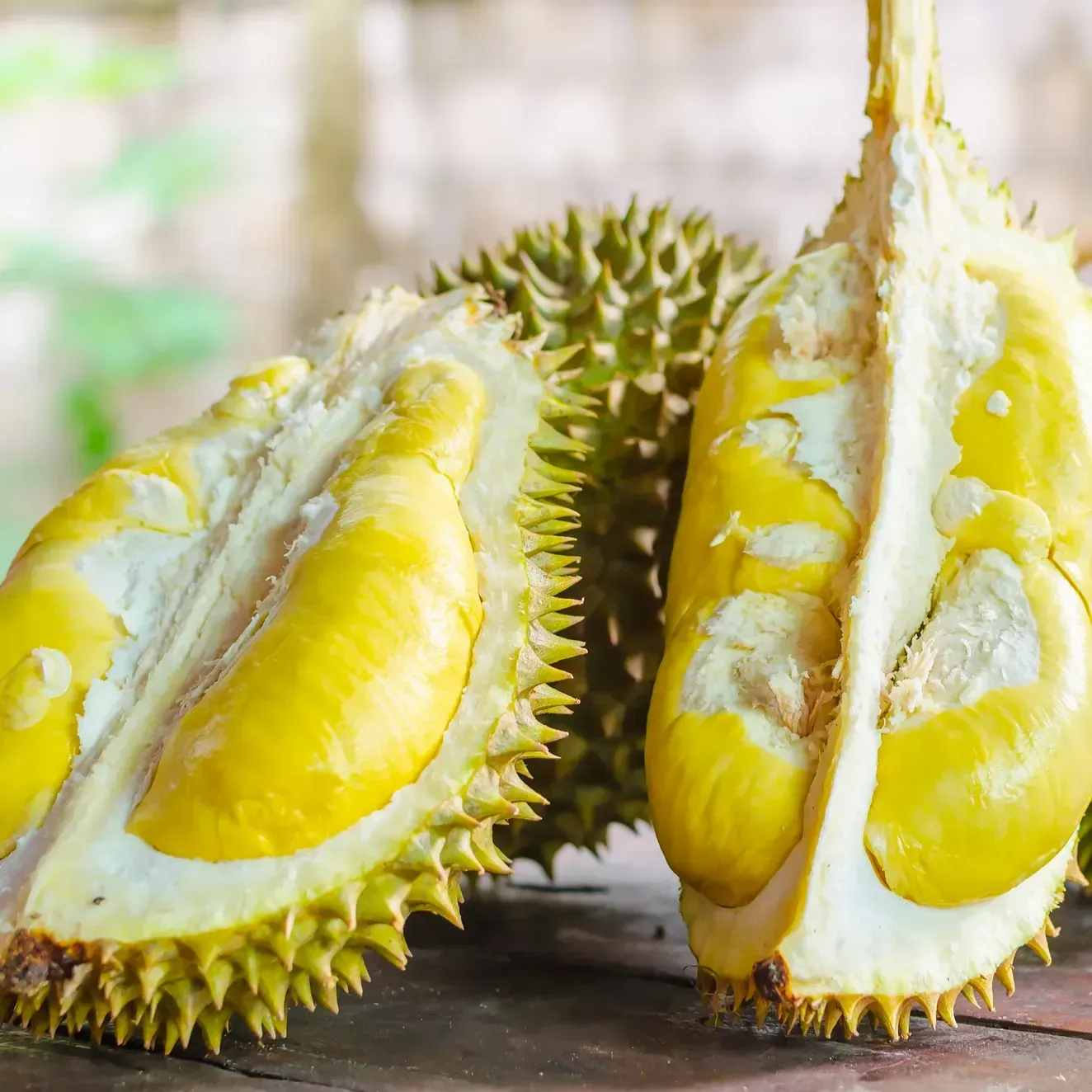 Plants Villa - Durian Fruit Live Plant