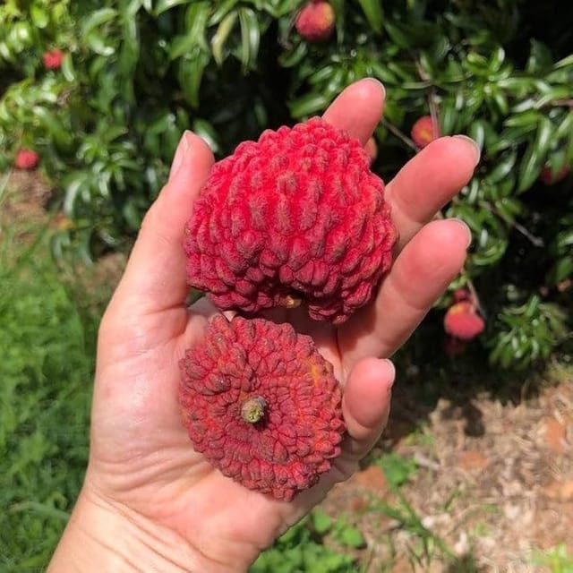 ... ...