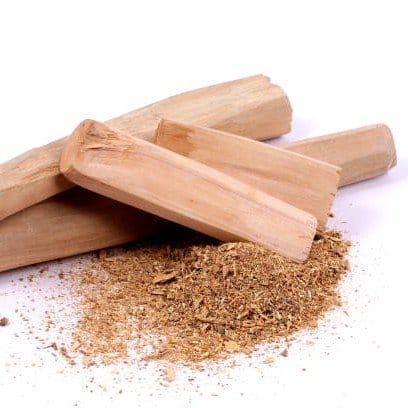 Plants Villa - Sandal Wood Chandan Plant_White Plants Villa - Sandal Wood Chandan Plant_White