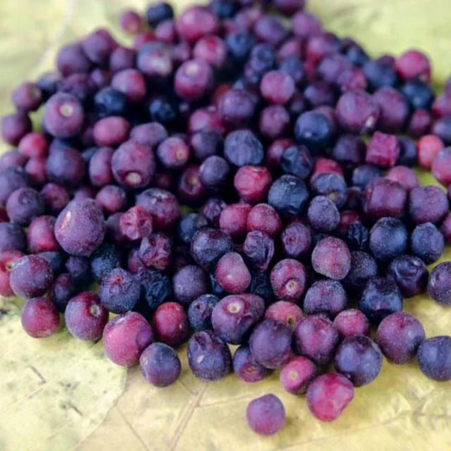 Plants Villa - Hybrid Phalsa Fruit Plant Plants Villa - Hybrid Phalsa Fruit Plant