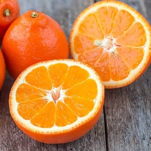 Plants Villa - Seedless Grafted & Hybrid Fruit Plant Orange Plants Villa - Seedless Grafted & Hybrid Fruit Plant Orange