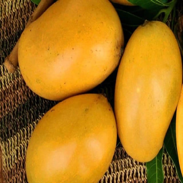 ... ...