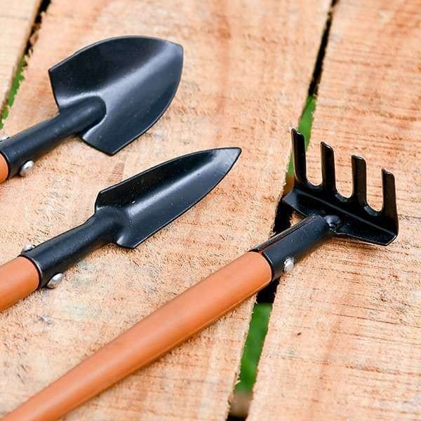 Plants Villa - Bonsai Set No.1021 Gardeninging Tools (Pack Of 3) Plants Villa - Bonsai Set No.1021 Gardeninging Tools (Pack Of 3)