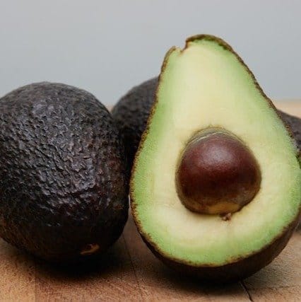 Plants Villa - Hot Climate Avocado | Grafted & Hybrid Fruit Plant Plants Villa - Hot Climate Avocado | Grafted & Hybrid Fruit Plant