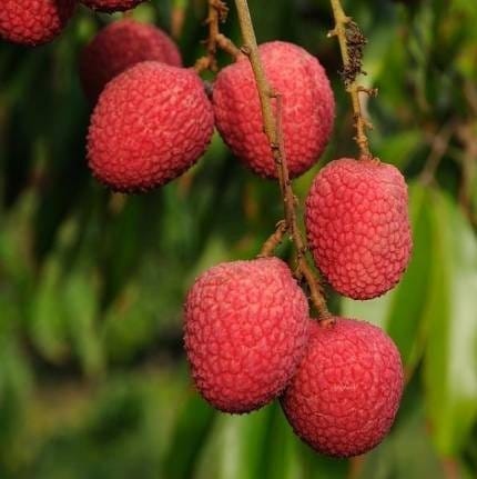 ... ...