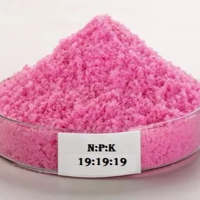 [Plants Glory] Npk 19 19 19 Water Soluble Fertilizer (Pack Of 1Kg)