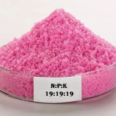 [Plants Glory] Npk 19 19 19 Water Soluble Fertilizer (Pack Of 1Kg)