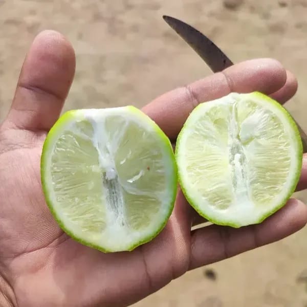 ... ...