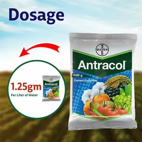 [Plants Glory] Antracol For Fungcide