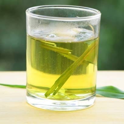 [Plants Glory] Lemon Grass Mediclinal Live Plant